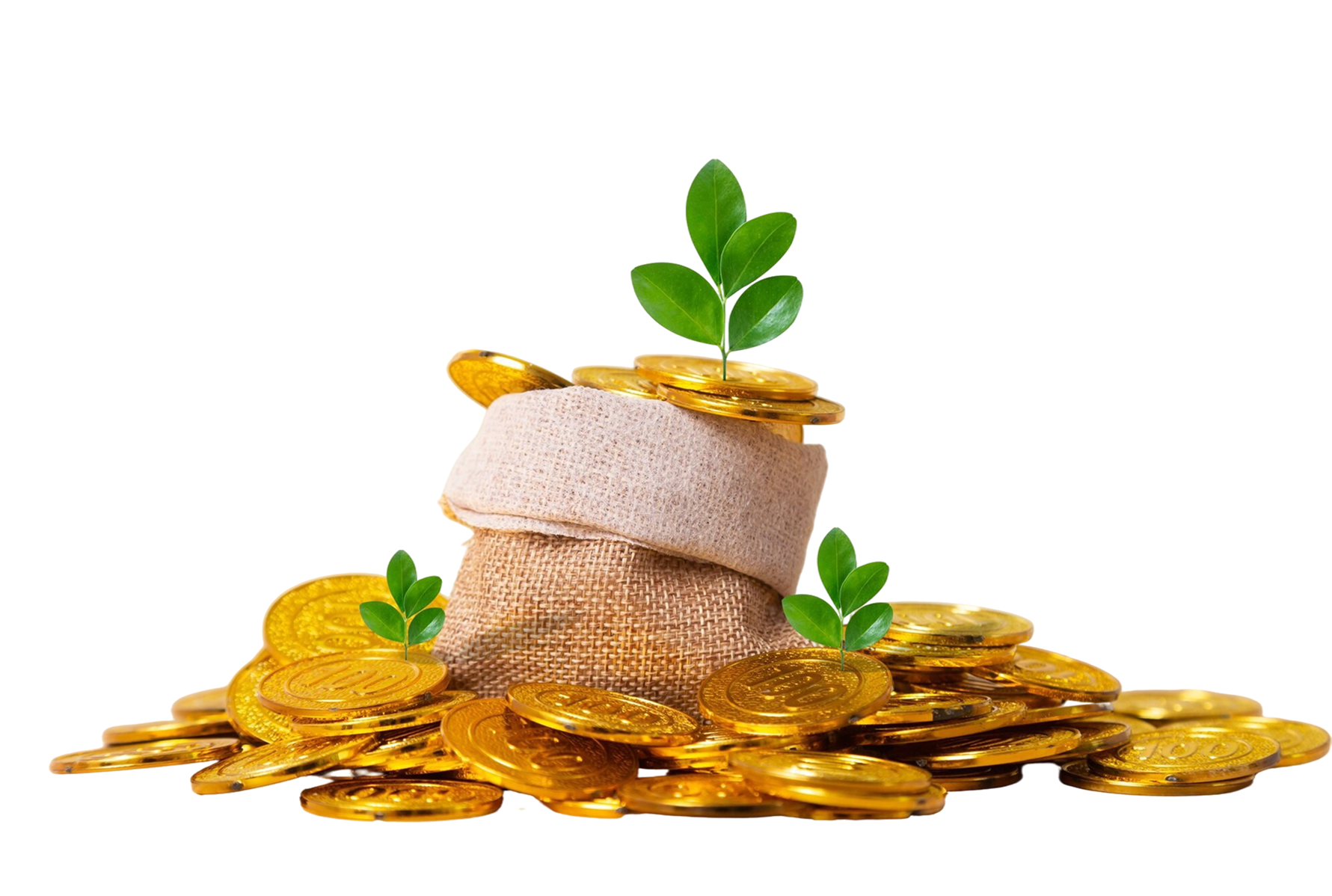 Plants growing with coins